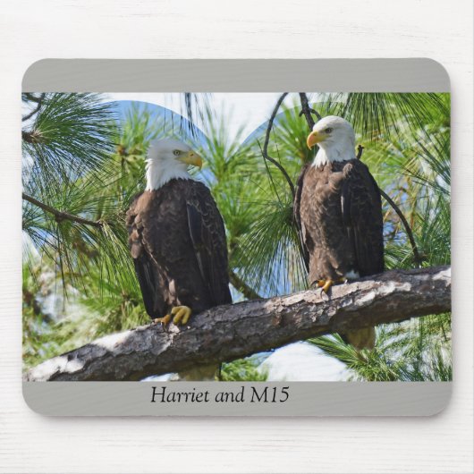 Harriet en M15-liefde Muismat (Voorkant)