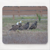 Harriet M15 E10 en E11 Muismat (Voorkant)