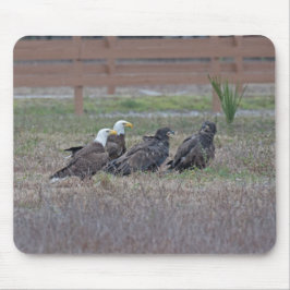 Harriet M15 E10 en E11 Muismat