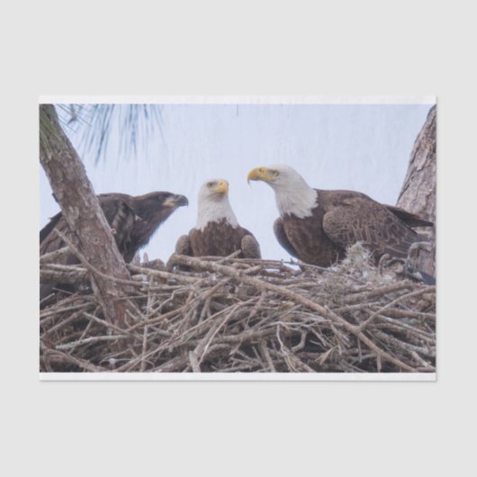 Harriet, M & E9 Tissue Paper Tissuepapier (Voorkant)