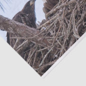 Harriet, M & E9 Tissue Paper Tissuepapier (Detail)