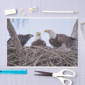 Harriet, M & E9 Tissue Paper Tissuepapier (Craft)