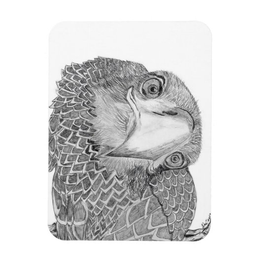 HARRIET OZZIE M HOME VERHAAL FAMILIE TREE E9 CAM MAGNEET (Verticaal)