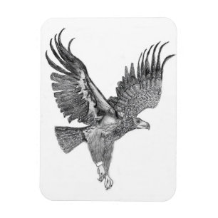 HARRIET OZZIE M HOME VERHAAL VAN FAMILIE TREE E8 S MAGNEET