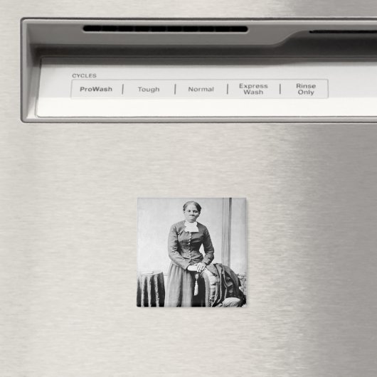 Harriet Tubman Dirigent Ondergrondse Spoorweg Magneet (Insitu (Vaatwasser))