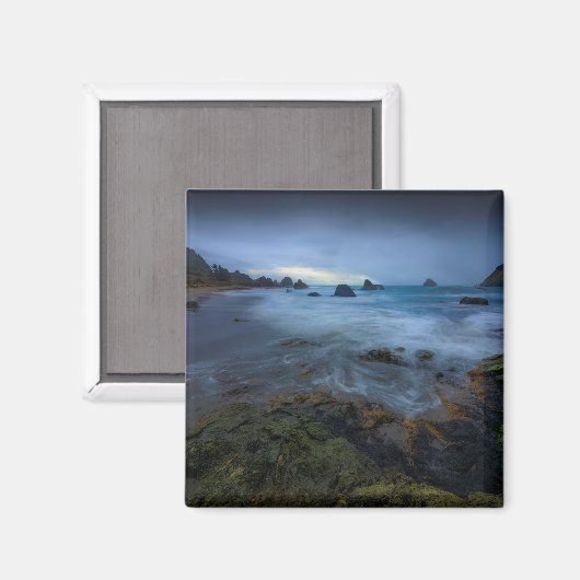 Harris Beach Park | Oregon Magneet (Voorkant / Achterkant)