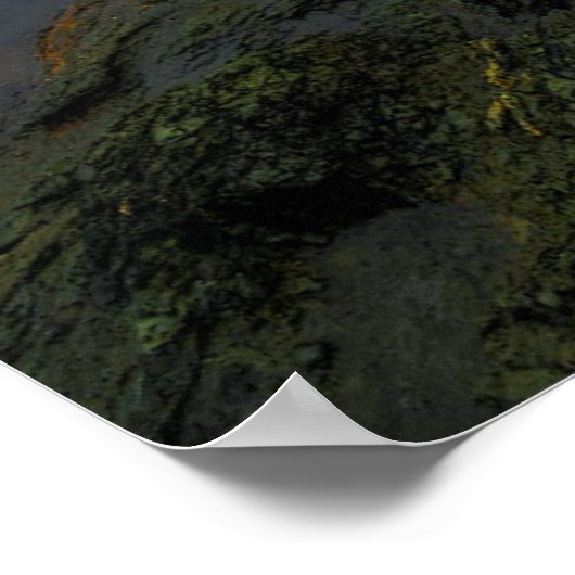 Harris Beach Park | Oregon Poster (Hoek)