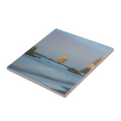 Harris Beach State Park Tegeltje (Zijkant)