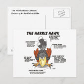 Harris Havik Cartoon Briefkaart (Voorkant / Achterkant)