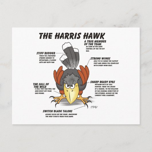 Harris Havik Cartoon Briefkaart (Voorkant)