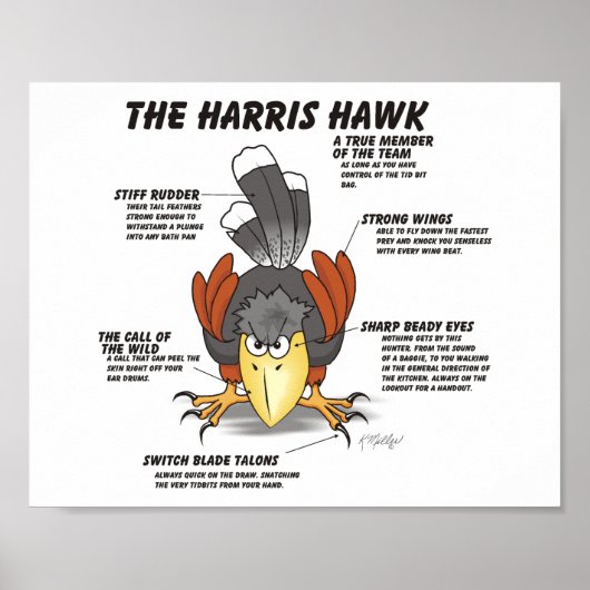 Harris Havik Cartoon Poster (Voorkant)