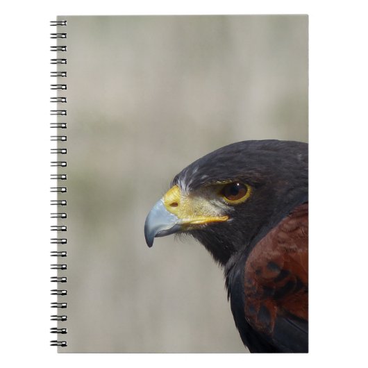 Harris Havik Portret Notitieboek (Voorkant)