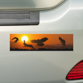 Harris Haviken Jagen Bumpersticker (Op auto)