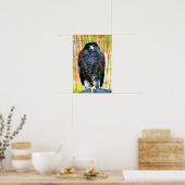 Harris Hawk Bird of Prey Poster (Keuken)