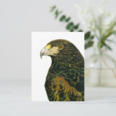 Harris Hawk Briefkaart (Staand voorkant)