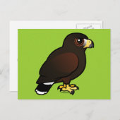 Harris Hawk Briefkaart (Voorkant / Achterkant)