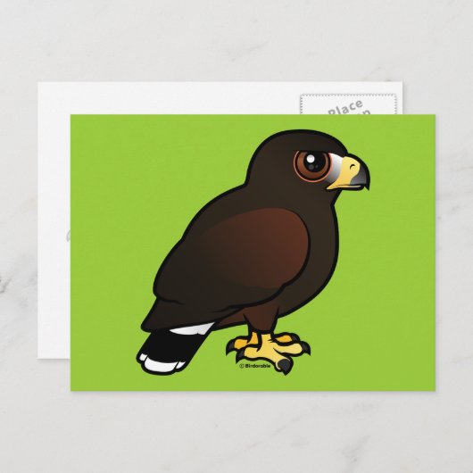 Harris Hawk Briefkaart (Voorkant / Achterkant)