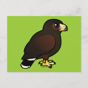 Harris Hawk Briefkaart