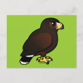 Harris Hawk Briefkaart (Voorkant)