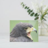 Harris Hawk Briefkaart (Staand voorkant)