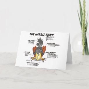 Harris Hawk Cartoon Kaart