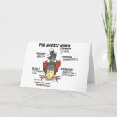 Harris Hawk Cartoon Kaart (Voorkant)