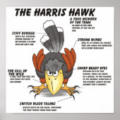 Harris Hawk Cartoon Poster (Voorkant)