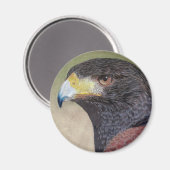 Harris Hawk-cp Magneet (Voorkant / Achterkant)