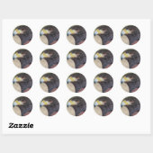 Harris Hawk-cp Ronde Sticker (Vel)