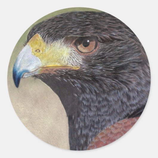 Harris Hawk-cp Ronde Sticker (Voorkant)