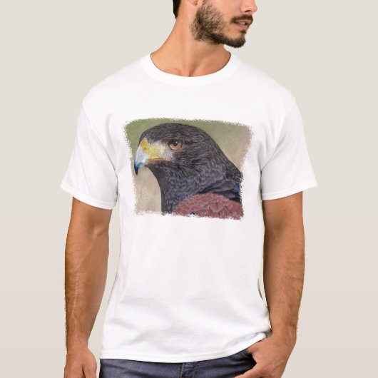 Harris Hawk-cp T-shirt (Voorkant)