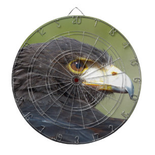 Harris Hawk Dartbord