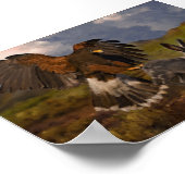 Harris Hawk en Jackrabbit Poster (Hoek)