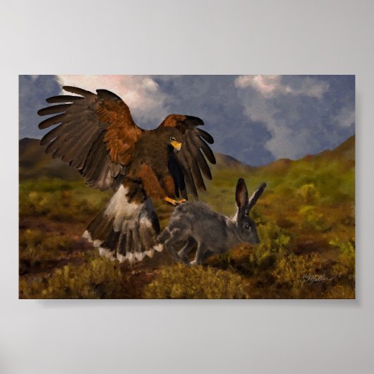 Harris Hawk en Jackrabbit Poster (Voorkant)