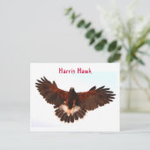 Harris Hawk Flying Briefkaart (Staand voorkant)
