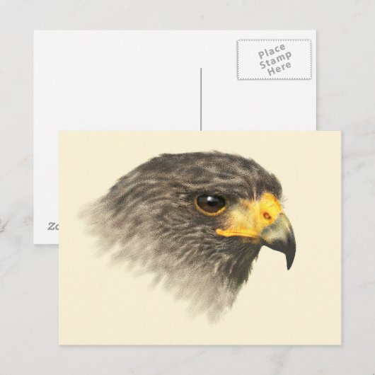 Harris Hawk - Gemengd Middelgroot Briefkaart (Voorkant / Achterkant)