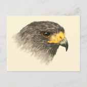 Harris Hawk - Gemengd Middelgroot Briefkaart (Voorkant)