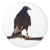 Harris' Hawk knob Keramische Knop (Voorkant)
