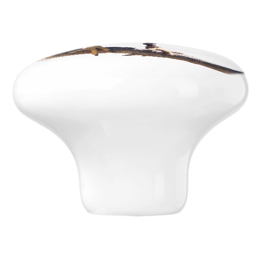 Harris' Hawk knob Keramische Knop (Zijkant)