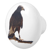 Harris' Hawk knob Keramische Knop (Rechts)