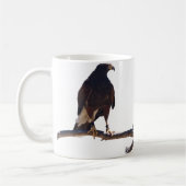 Harris' Hawk Koffiemok (Links)