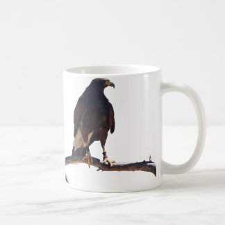 Harris' Hawk Koffiemok