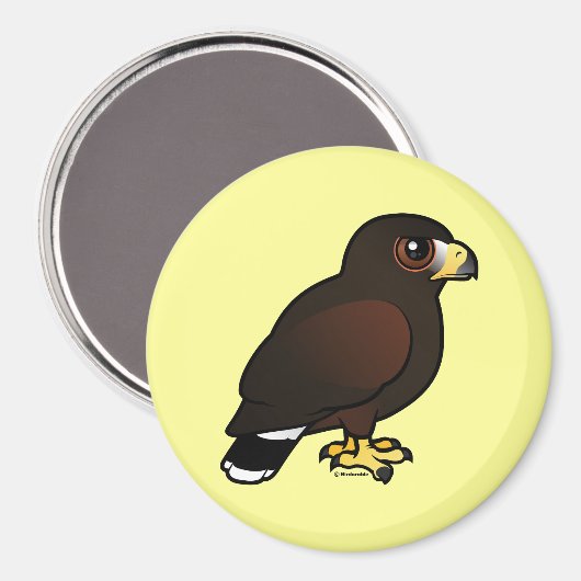 Harris Hawk Magneet (Voorkant / Achterkant)