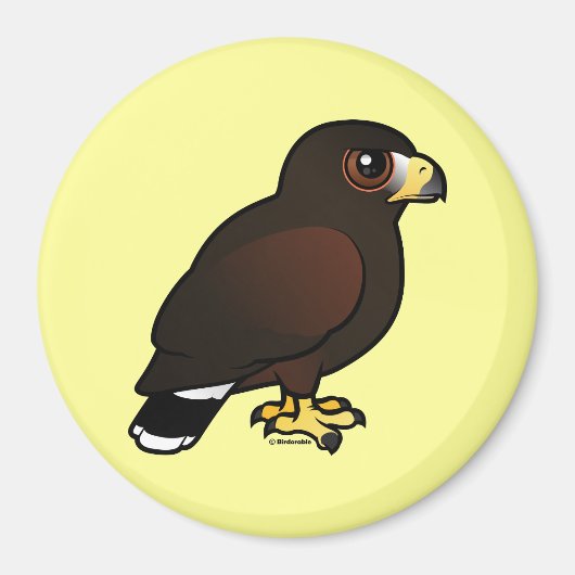 Harris Hawk Magneet (Voorkant)