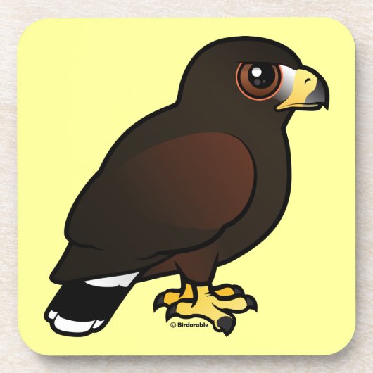 Harris Hawk Onderzetter (Voorkant)