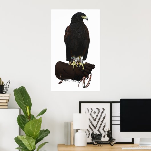 Harris Hawk op Glove Poster (Thuiskantoor)