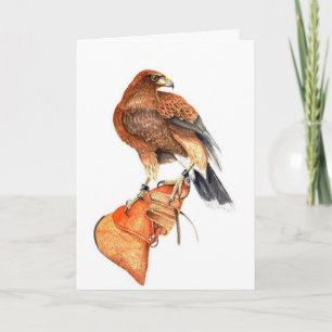 Harris Hawk op Glove-verjaardagskaart Kaart