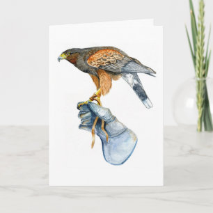 Harris Hawk op Glove-verjaardagskaart Kaart