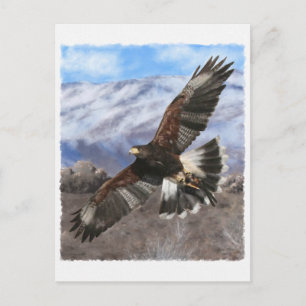 Harris Hawk- pastel Briefkaart