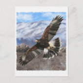 Harris Hawk- pastel Briefkaart (Voorkant)
